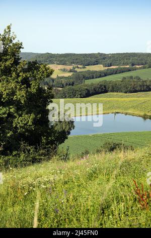 Paesaggio rurale del Pays de Serre (Francia sud-occidentale): Serbatoio di irrigazione Foto Stock