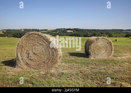 Paesaggio rurale, agricolo nel Pays de Serre, Quercy blanc (Francia sud-occidentale) balle di fieno Foto Stock