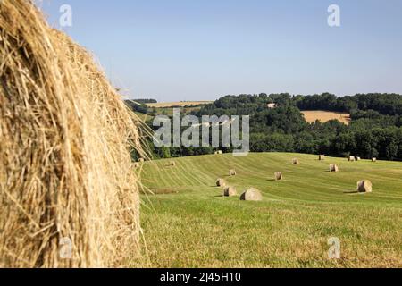 Paesaggio rurale, agricolo nel Pays de Serre, Quercy blanc (Francia sud-occidentale) balle di fieno Foto Stock