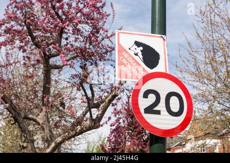 Hedgehog Crossing Area e 20 mph limite di velocità strada segnale su una strada suburbana a Barnes, South West London, Inghilterra, Regno Unito Foto Stock