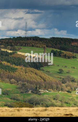 Paesaggio rurale panoramico e soleggiato (pendii boschivi, pascoli e pascoli, tv e radio relè albero, cielo nuvoloso) - Washburn Valley, Yorkshire, Inghilterra, Regno Unito. Foto Stock