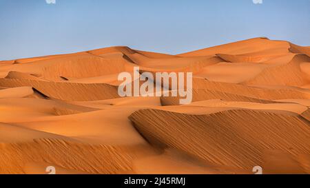 Uno dei più bei deserti del mondo il deserto di Liwa in un quartiere vuoto negli Emirati Arabi Uniti Foto Stock