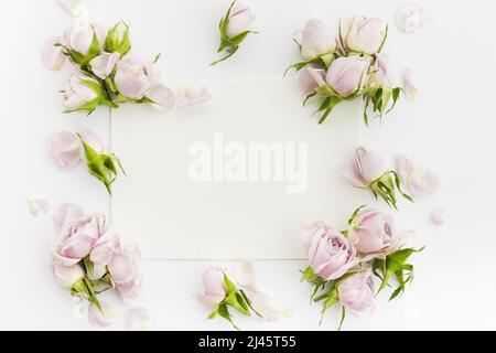 Struttura da rose e petali su sfondo bianco. Disposizione piatta. Foto Stock
