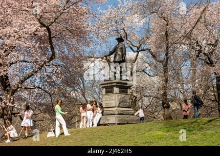 La statua di Pilgrim Hill è circondata da ciliegi Yoshino in fiore in primavera, New York City, USA 2022 Foto Stock