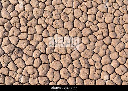 Fondo secco cracked del lago nel deserto Foto Stock