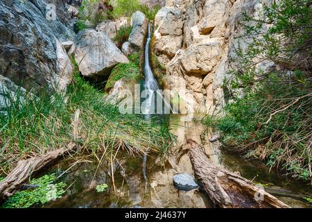 Darwin Falls è una piccola cascata oasi vicino a Panamint Springs nel Death Valley National Park, California Foto Stock