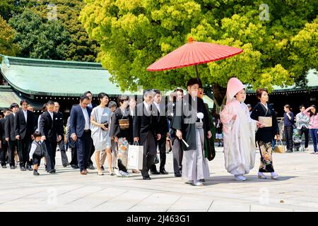 Giappone. Tokyo. Tradizionale cerimonia nuziale al santuario Meiji Jingu Shinto Foto Stock
