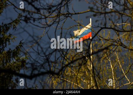 Bandiera russa su un palo che ondola nel vento, vista attraverso molti rami di albero, con minacciose nuvole piovose sullo sfondo. Foto Stock