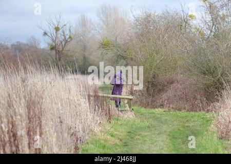 Una donna adulta singola con binocolo in cerca di uccelli e fauna selvatica Foto Stock