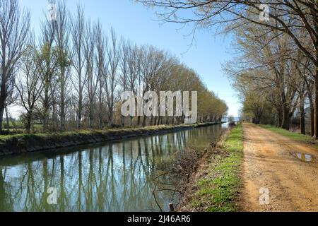 Canale di Castiglia - Canal de Castilla - nei pressi della città di Becerril de Campos, Castiglia e León, Spagna Foto Stock