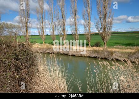 Canale di Castiglia - Canal de Castilla - nei pressi della città di Becerril de Campos, Castiglia e León, Spagna Foto Stock