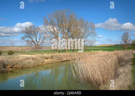 Canale di Castiglia - Canal de Castilla - nei pressi della città di Becerril de Campos, Castiglia e León, Spagna Foto Stock