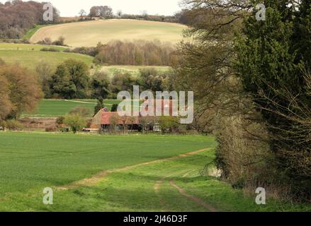 Un paesaggio rurale inglese con sentiero tra campi nella collina Chiltern nel Buckinghamshire Foto Stock