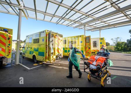 Il problema di fare la coda delle ambulanze a causa dei letti ospedalieri non disponibili. Un'ambulanza scarica un paziente al Grange University Hospital vicino a Pontypool. Foto Stock
