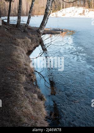 scongelare sulla riva del lago forestale in primavera, cielo blu, ghiaccio si scioglie sul terreno scongelato Foto Stock