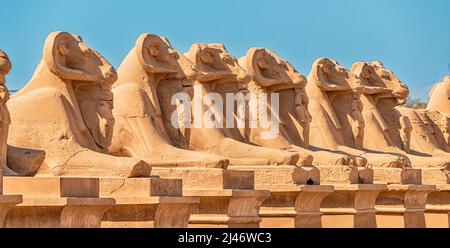 Famoso vicolo di sfingi Karnak con una testa di capra a Luxor o Tebe antica. Destinazioni di viaggio in Egitto Foto Stock