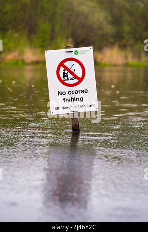 Un'agenzia ambientale firma nel lago ornamentale a Southampton Common che proibisce la pesca grossolana dal 15th marzo al 15th giugno Foto Stock