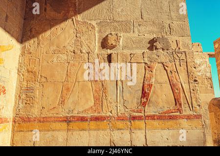 Geroglifici e dipinti scolpiti in pietra arenaria nel tempio di Hatshepsut a Luxor. Patrimonio egiziano e concetto di civiltà Foto Stock