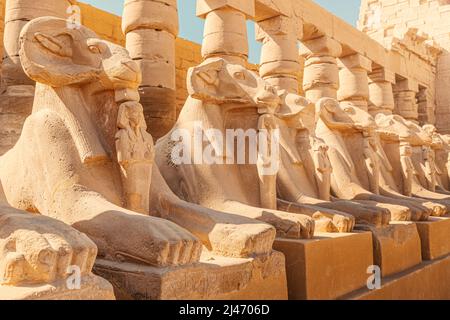 Famoso vicolo di sfingi Karnak con una testa di capra a Luxor o Tebe antica. Destinazioni di viaggio in Egitto Foto Stock