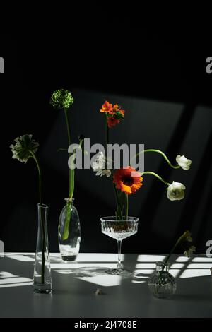 Verticale moderna natura morta composizione di vari fiori freschi in vasi di vetro trasparente e vetro coupé su tavola su sfondo nero parete, illuminazione gobo Foto Stock
