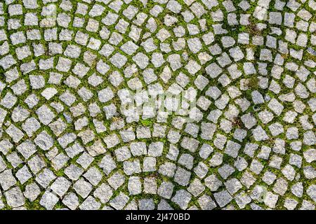 l'erba verde cresce attraverso gli spazi vuoti nelle pietre di granito pavimentazione Foto Stock