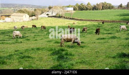 Vista panoramica di Sant Martí de Centelles a Barcellona, Catalunya, Spagna, Europa Foto Stock