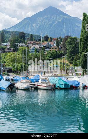 Il monte Niesen e il lago Thun in Svizzera Foto Stock