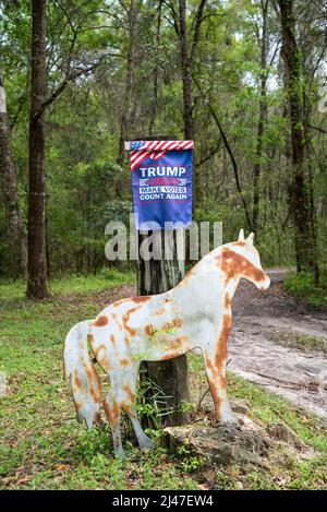 Segni politici apparsi lungo una strada rurale nel nord della Florida. Foto Stock