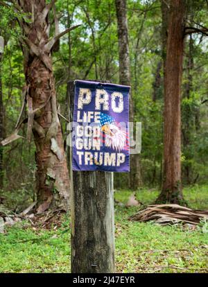 Segni politici apparsi lungo una strada rurale nel nord della Florida. Foto Stock