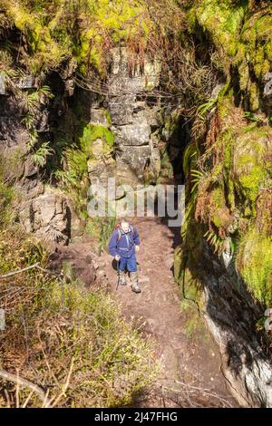 Camminatori camminando attraverso la gola della Chiesa di Lud il Parco Nazionale del Peak District sulla gamma di rocce Roaches nelle brughiere dello Staffordshire vicino a Leek Foto Stock