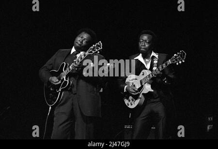 BB King e il reverendo al Green si esibiscono al Royal Festival Hall di Londra, Inghilterra nel 1984. Foto Stock