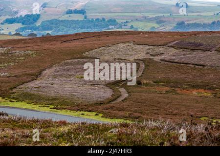 Regno Unito, Inghilterra, Yorkshire. Settembre Heather in Yorkshire Dales. Bruciando controllato per stimolare una nuova crescita per il gallo cedrone. Foto Stock