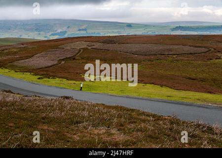 Regno Unito, Inghilterra, Yorkshire. Settembre Heather in Yorkshire Dales. Bruciando controllato per stimolare una nuova crescita per il gallo cedrone. Foto Stock