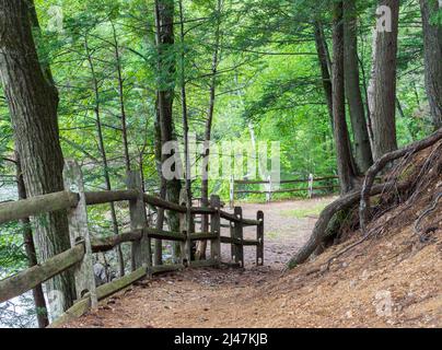 Sentiero ripido lungo rustico recinto in legno nei lussureggianti boschi del Massachusetts durante l'estate Foto Stock