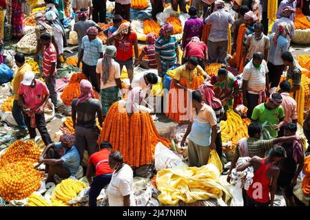 Mullik Ghat flower market, Kolkata (Calcutta), West Bengal, India, Asia Foto Stock