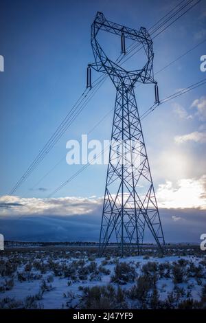 Line supporta lungo il Pacific Intertie in Oregon. Foto Stock