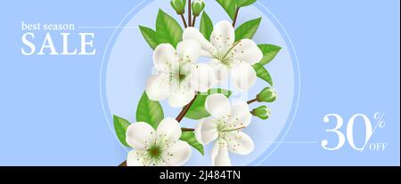 Miglior vendita stagionale, trenta per cento di sconto banner design con bianco fiore twig in cornice rotonda su sfondo azzurro chiaro. Il testo digitato può essere utilizzato per le etichette Illustrazione Vettoriale