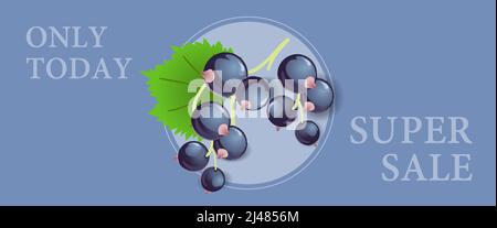 Solo oggi vendita super banner design con bacche di ribes nero in cornice rotonda su sfondo viola. Il testo digitato può essere usato per le etichette, i volantini, i segni, Illustrazione Vettoriale