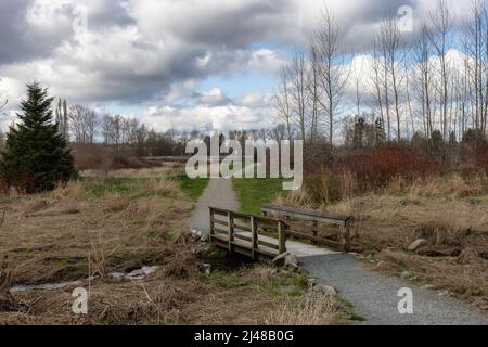 Sentiero panoramico in un parco con campo verde e alberi in una città. Foto Stock