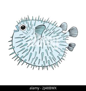 Pesci tropicali della barriera corallina disegnati a mano. Mare e Oceano Animali Vector clip art. Illustrazione Vettoriale