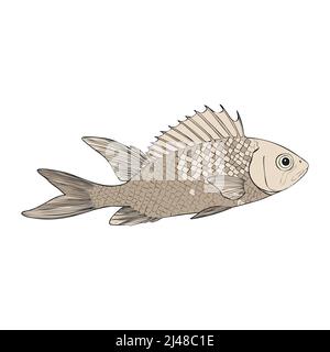 Pesci tropicali della barriera corallina disegnati a mano. Animali marini e oceanici Vector CLOP art. Illustrazione Vettoriale