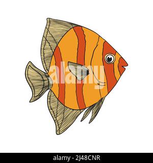 Pesci tropicali della barriera corallina disegnati a mano. Animali marini e oceanici Vector CLOP art. Illustrazione Vettoriale