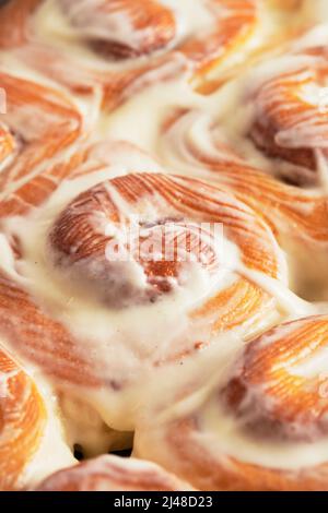 I cinaboni fatti in casa in una teglia da forno vengono prelevati dal forno. Vista frontale. Foto Stock