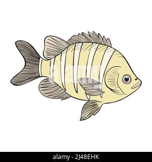 Pesci tropicali della barriera corallina disegnati a mano. Animali marini e oceanici Vector CLOP art. Illustrazione Vettoriale