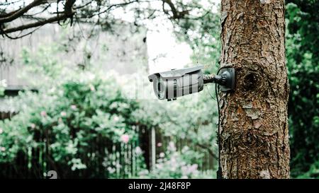 Telecamera di sorveglianza grigia appesa su un albero nel giardino Foto Stock