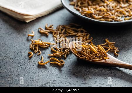 Vermi salati fritti. Vermi arrosto su un cucchiaio di legno. Foto Stock