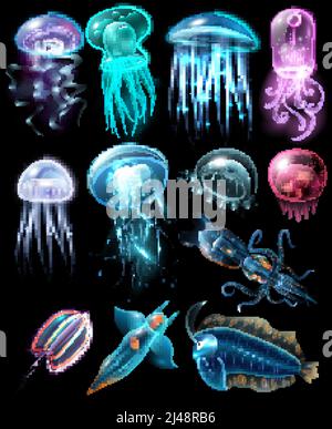 Leggero e multicolore elegante animale subacqueo icona impostare pesce diverso illustrazione vettoriale di meduse e calamari Illustrazione Vettoriale