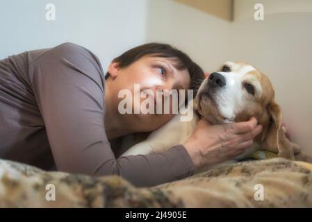 Donna si trova sul divano e guarda il cane beagle. Foto Stock