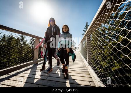 Camminata attiva in famiglia, escursioni nella natura su un sentiero in legno Treetop in inverno. Famiglia con bambini che cammina sulle cime degli alberi di montagna sul ponte pedonale del balcone di legno o Foto Stock