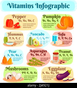 Infografiche vegetariane di cibo con vitamine in hummus, tofu, verdure e frutta, funghi e noci piatta illustrazione vettoriale Illustrazione Vettoriale